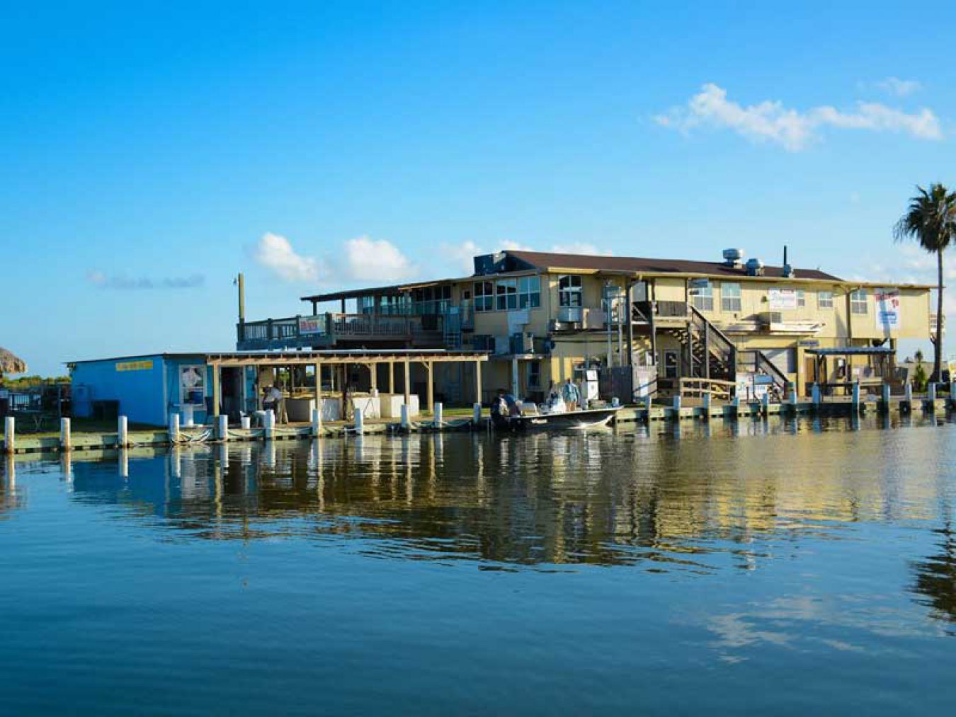 stingaree